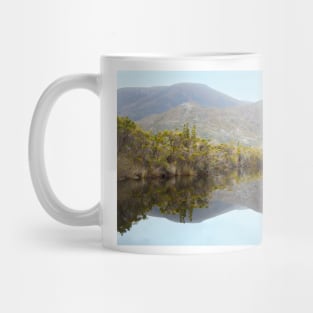 Melaleuca Creek Reflections Mug